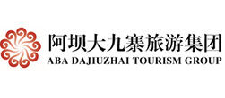 成都網絡公司