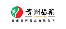 成都網站建設